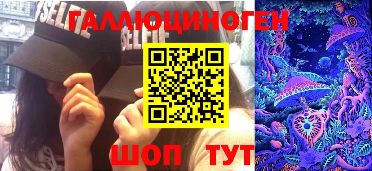 Псилоцибиновые грибы Cubensis Фролово