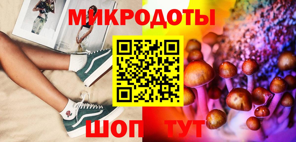 Псилоцибиновые грибы Psilocybine cubensis Фролово