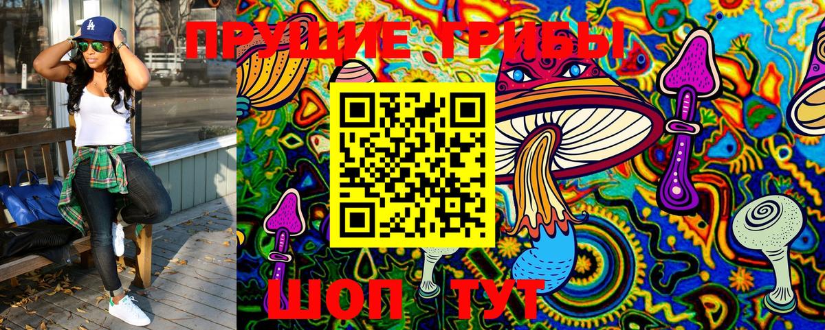 Псилоцибиновые грибы прущие грибы  продажа наркотиков  Фролово 