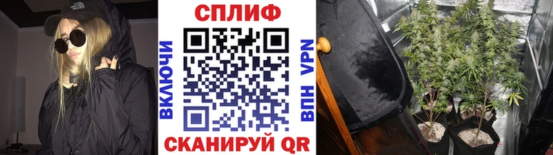 Конопля Amnesia  купить  сайты  Фролово 